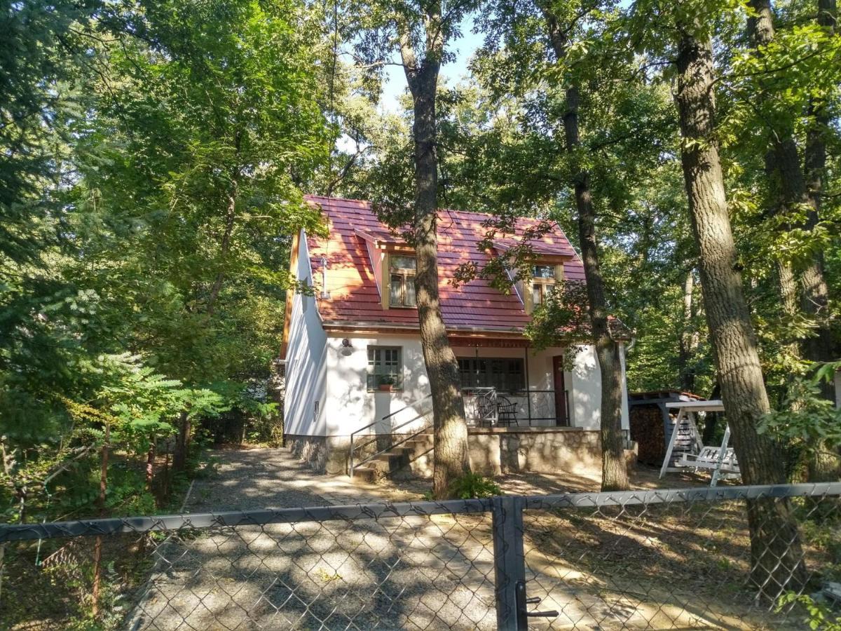 Apartamento Noszvaj Huset Exterior foto